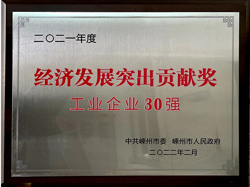 经济发展突出贡献奖